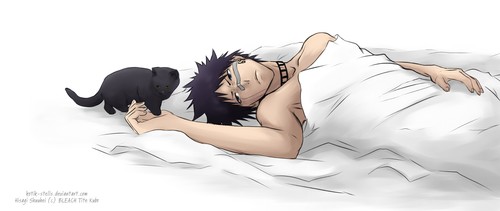 Gotei hisagi shuuhei kotik - gotei,