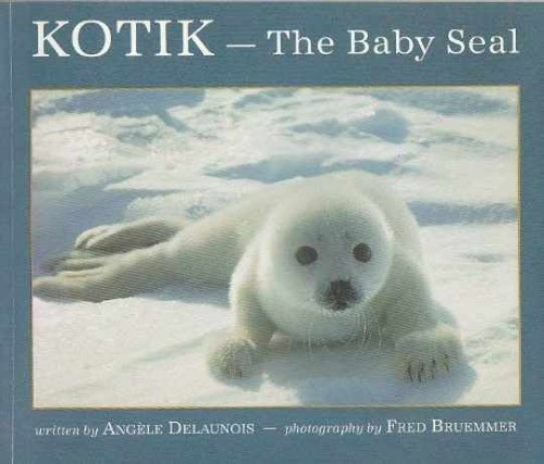 Kotik the baby seal - baby,