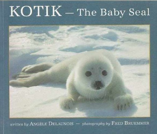 Kotik the baby seal - the,